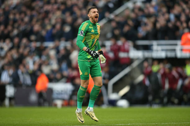 的观赏性和 的观赏性和