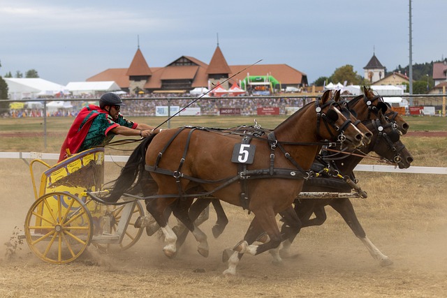 即时性和准 即时性和准