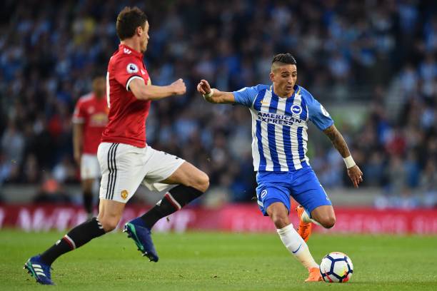 球迷和專家 球迷和專家