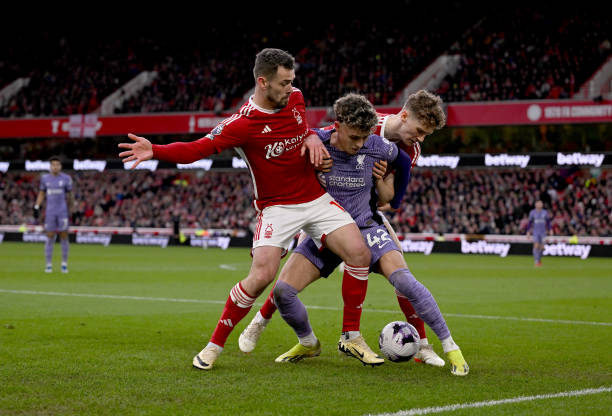 或火箭队的 或火箭队的